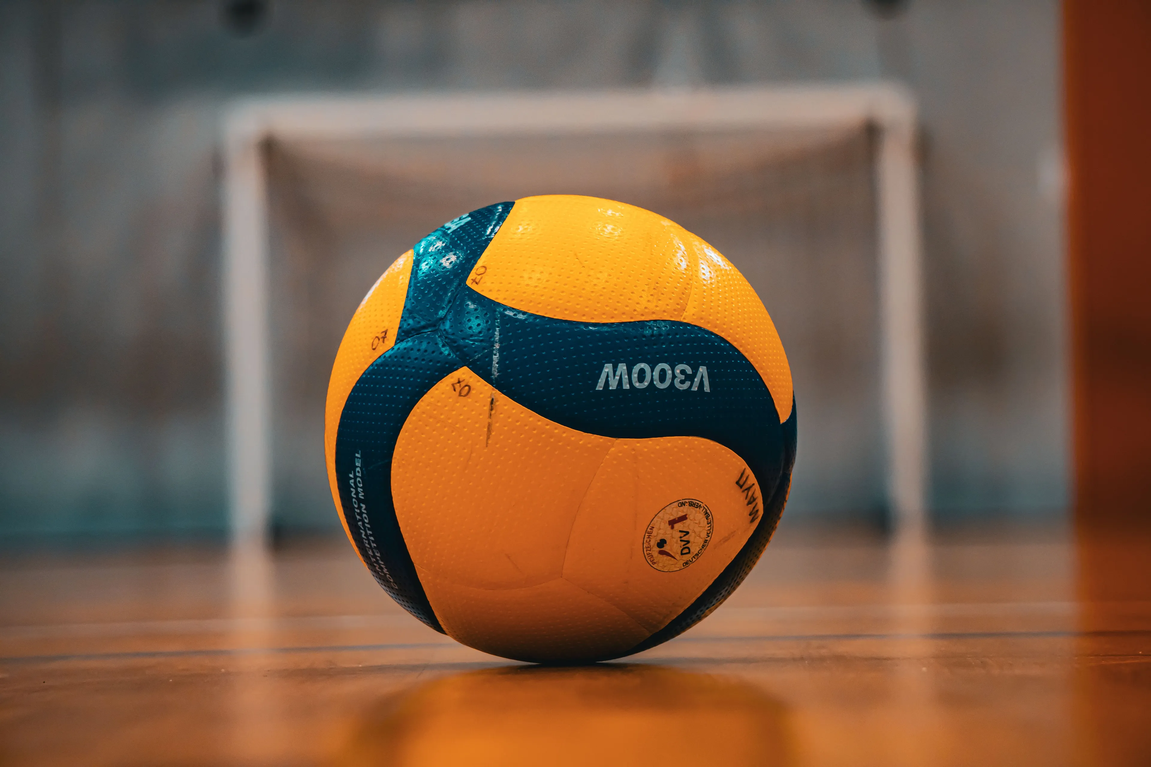 Volleyball on a court, representing the school subject PE and a competitive streak.