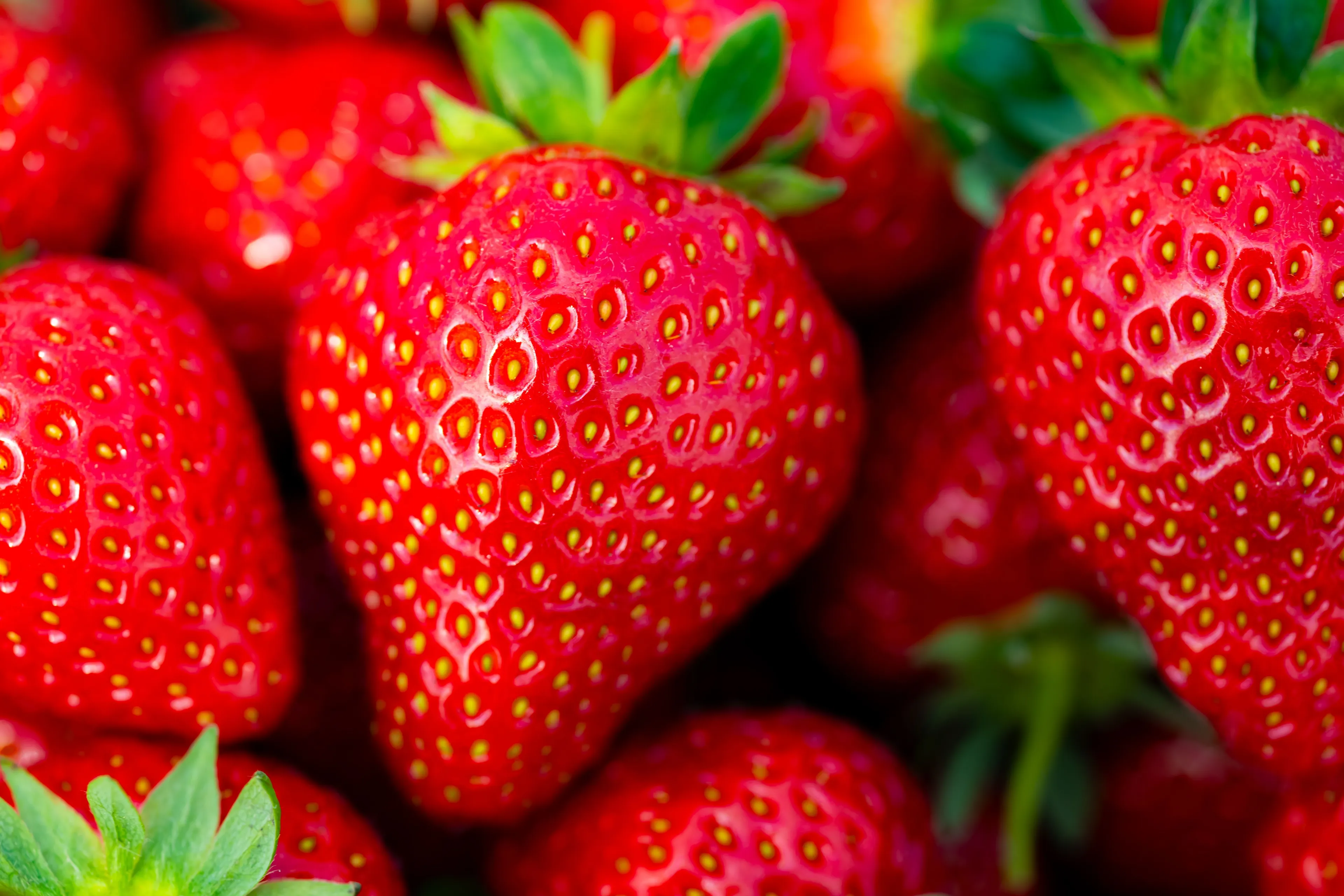 A cluster of bright red, ripe strawberries with green caps, showing their textured surface and tiny seeds.