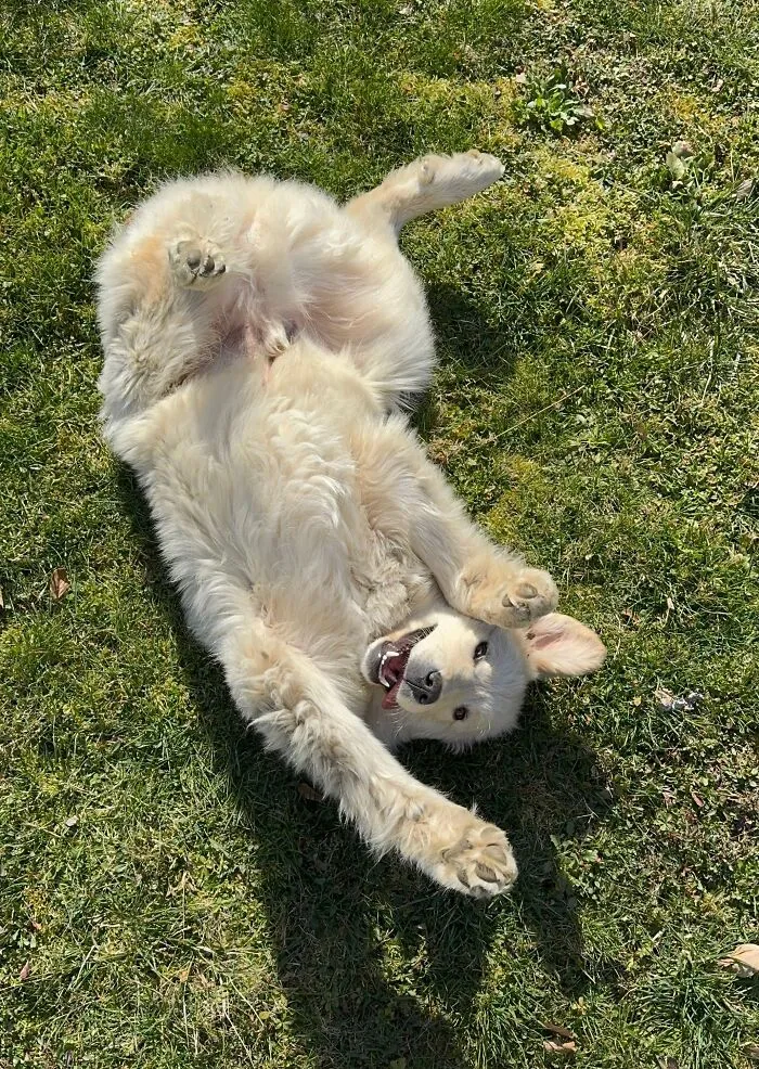 Sleeping Belly-Up Always Means Complete Trust