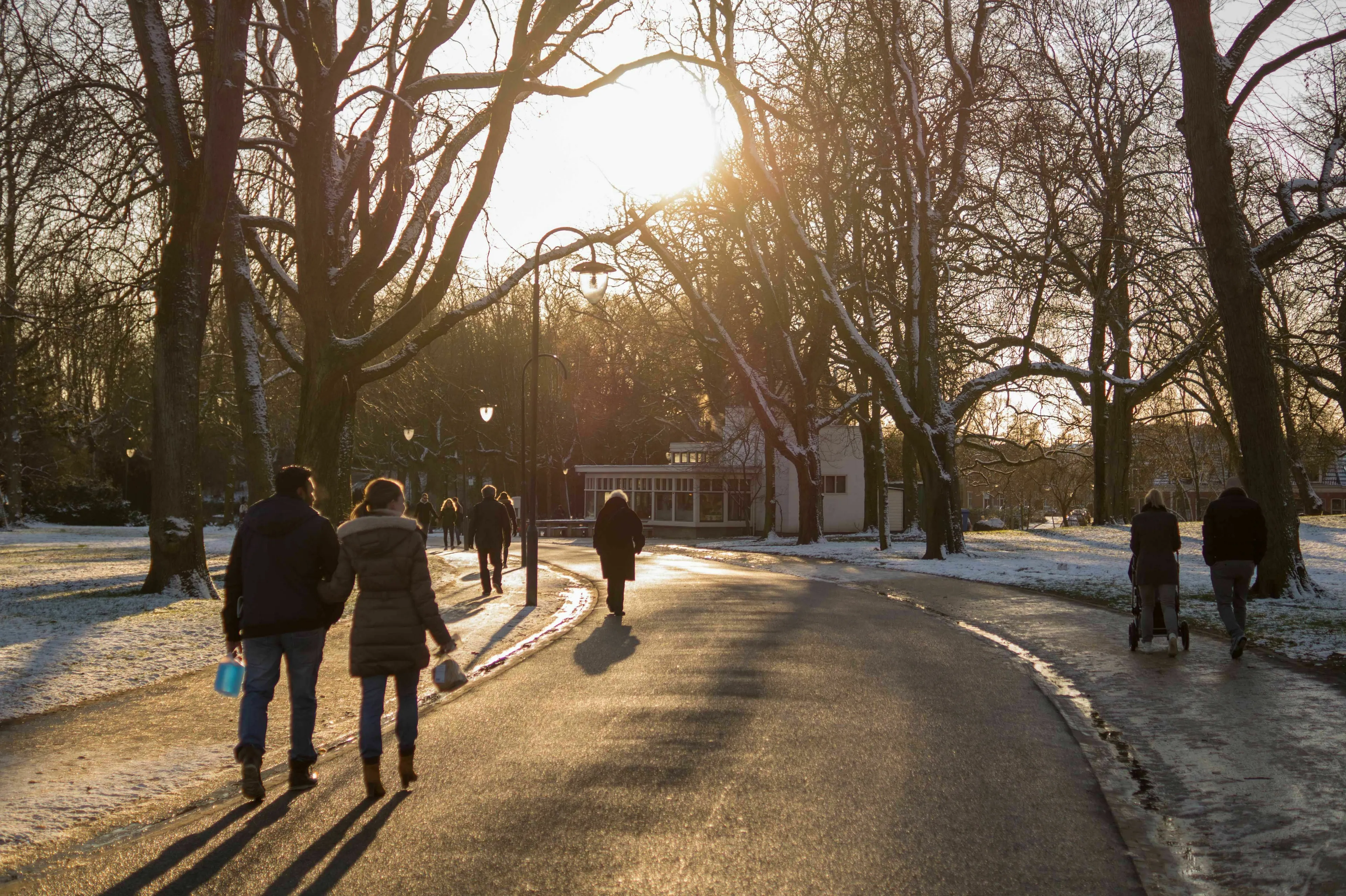 People walking on a snowy path in a park during a free afternoon, with sunlight shining through the trees.