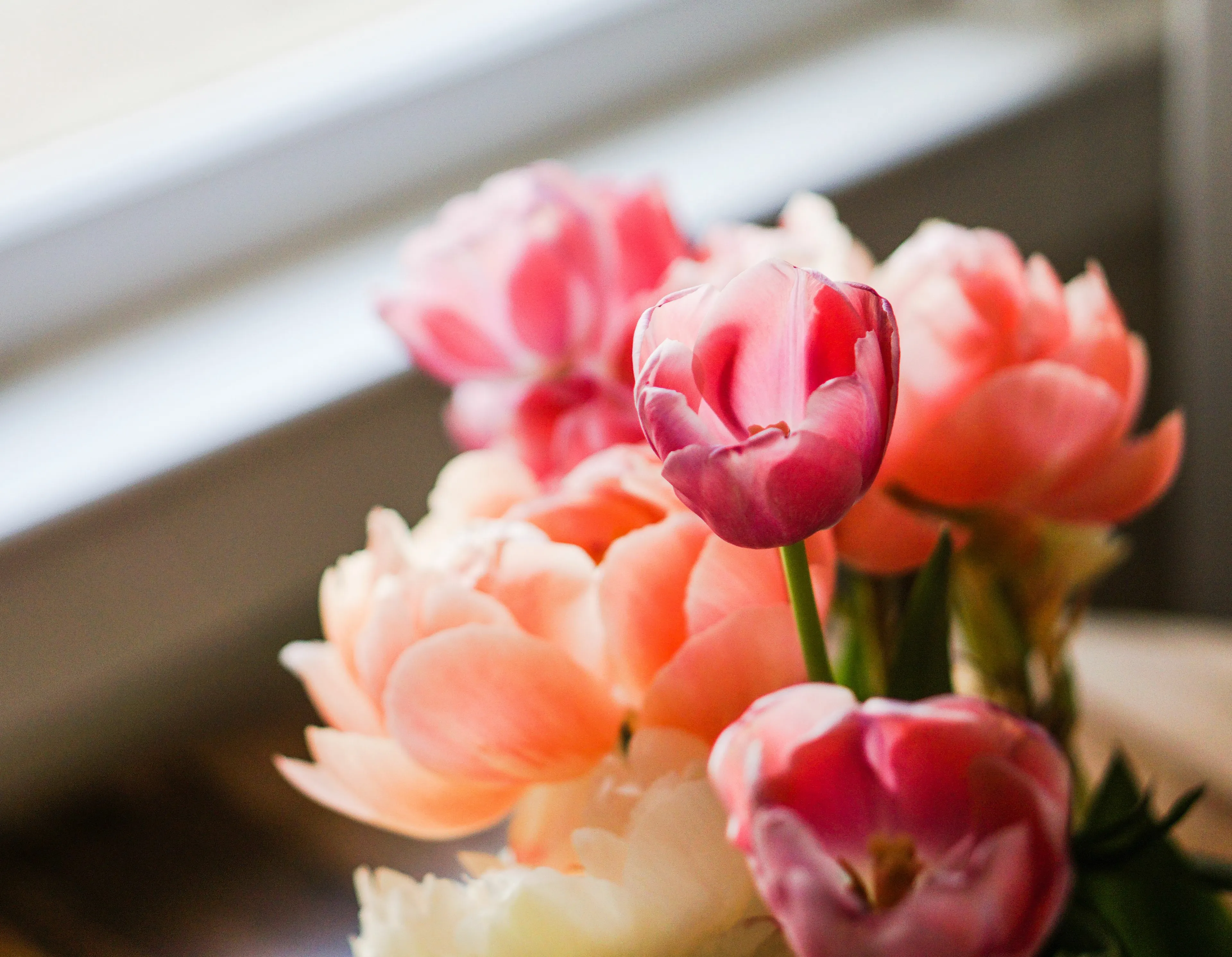 A bouquet of pink and peach flowers. Pick the compliment that would mean the most. A quiz to find out which historical figure you are like.