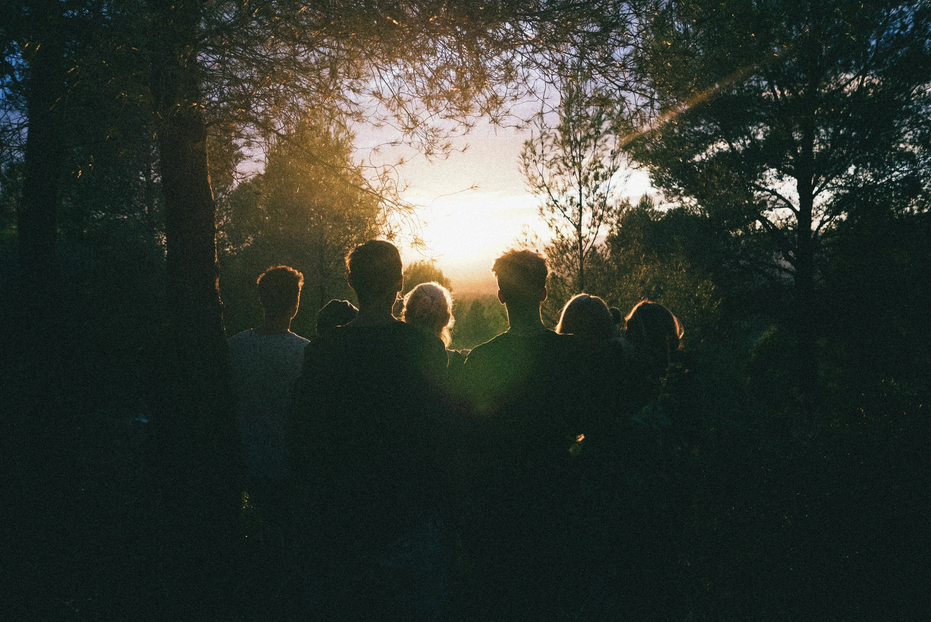 Silhouetted people in a forest at sunset, depicting a historical figure entering a new group.