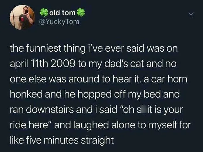 Only The Cat Heard