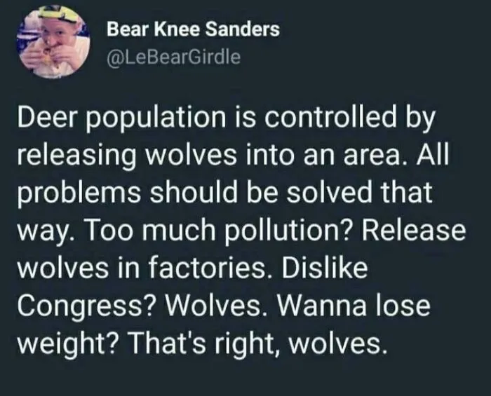 Let’s Start Using Wolves Now