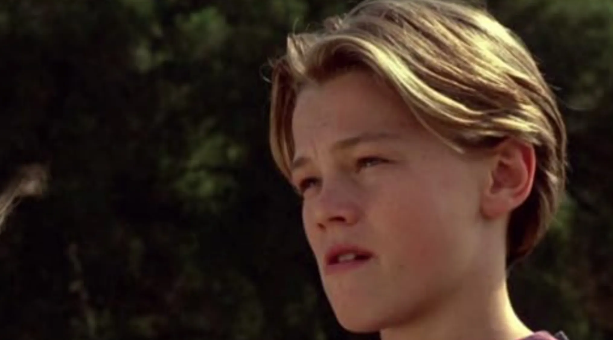 A young Leonardo DiCaprio, with long blonde hair, in his early career before the fame.
