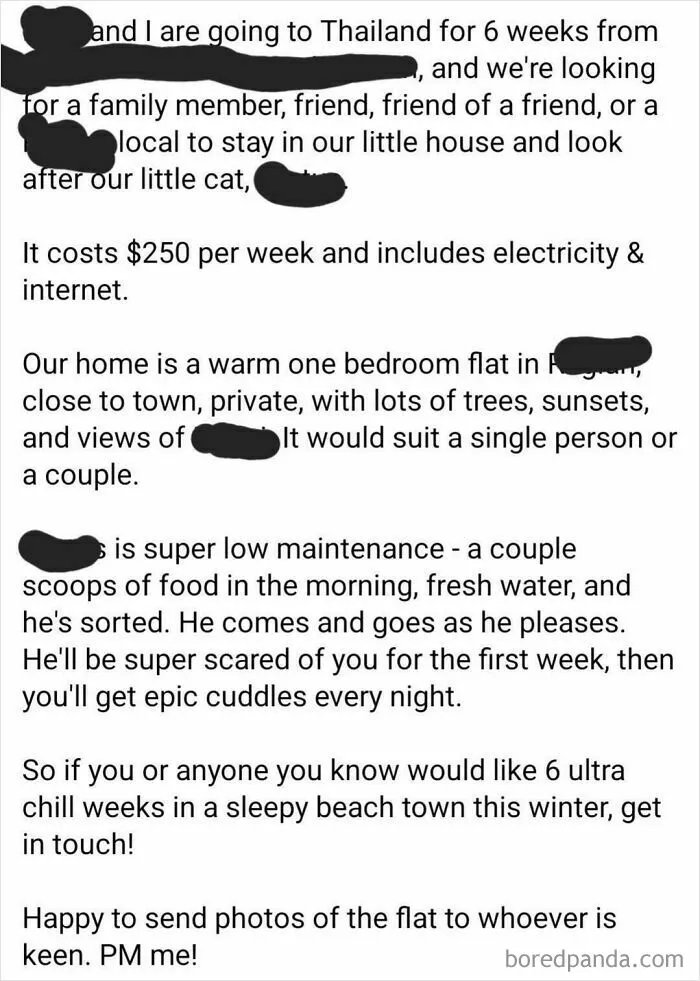 Looking For A House/Cat Sitter For 6 Weeks But Charging $250 A Week