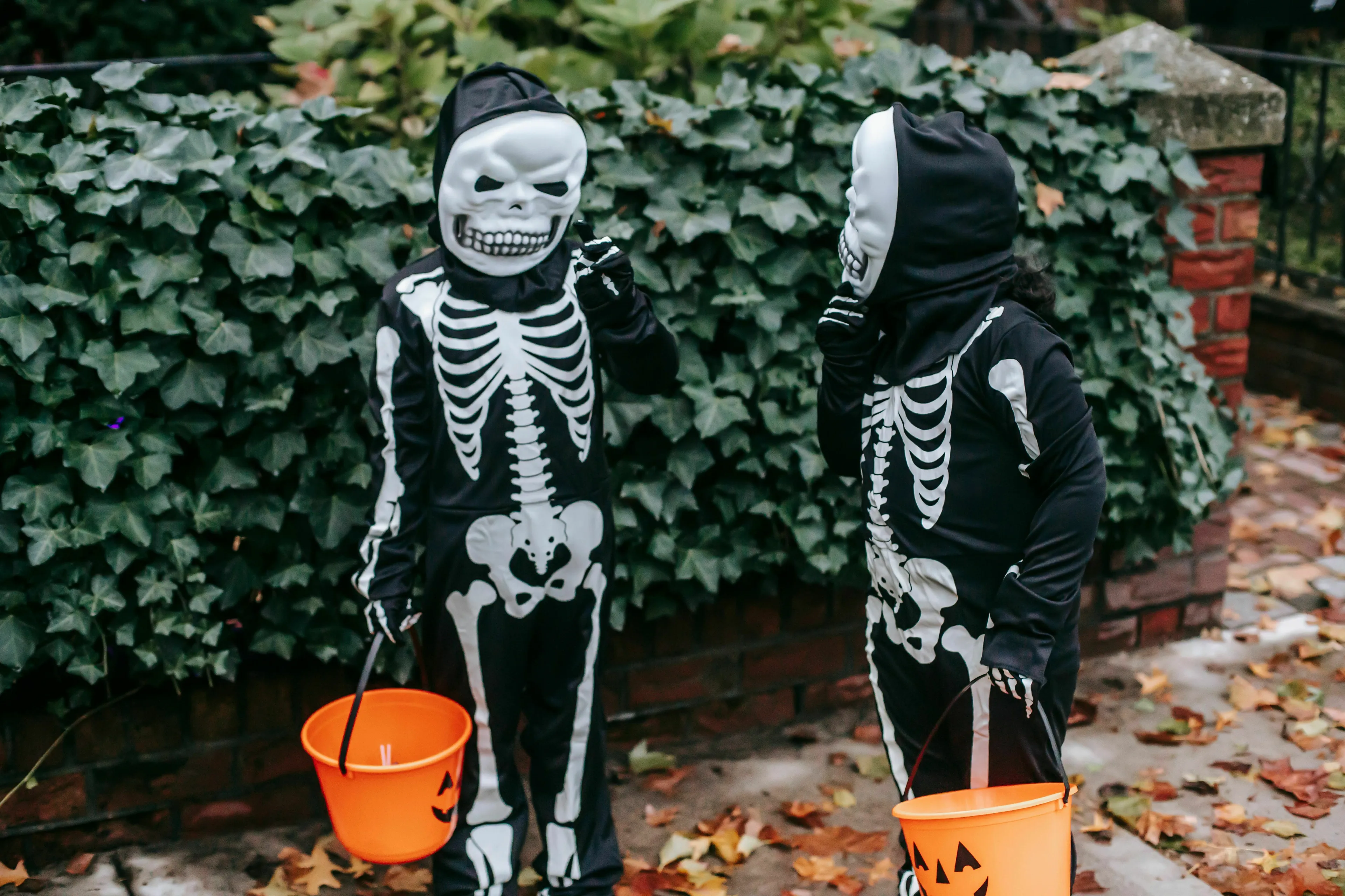 Two American children in skeleton costumes trick-or-treating for Halloween. They are asking for candy.