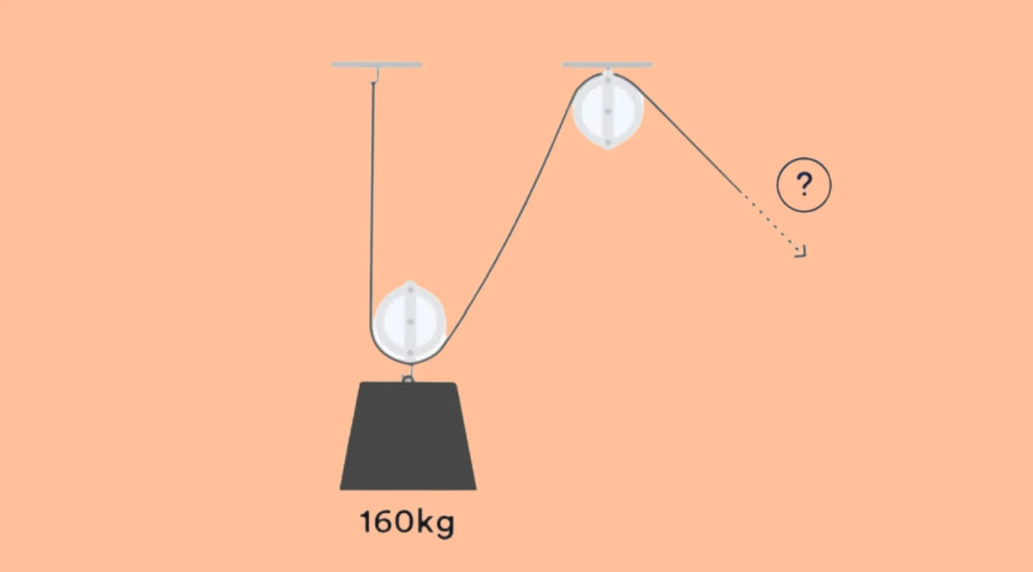 A pulley system with a 160kg weight. What is the least amount of force required to lift the weight? Would FBI hire you?