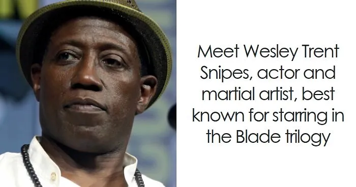 Wesley Snipes: Bio And Career Highlights
