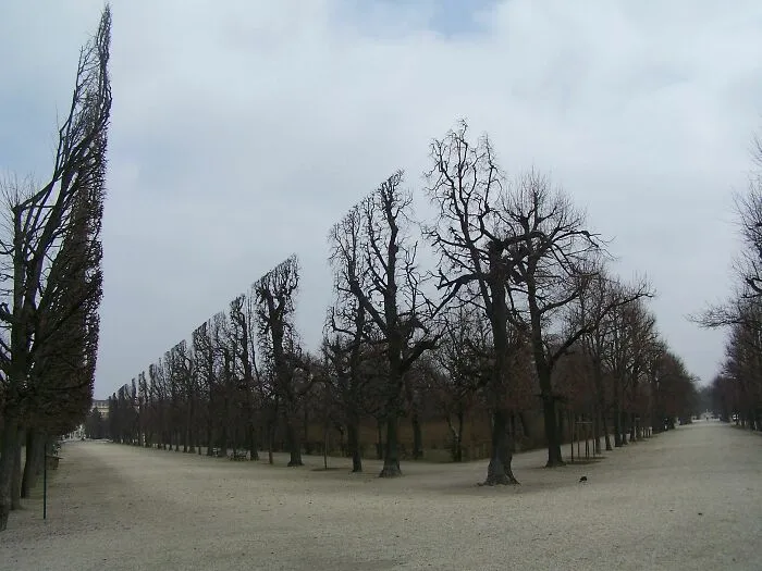 The Highlight Of My Visit To Schonbrunn