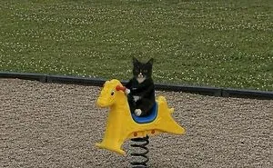 83 Photos Of Silly, Funny And Weird Animals That Might Lift Your Mood