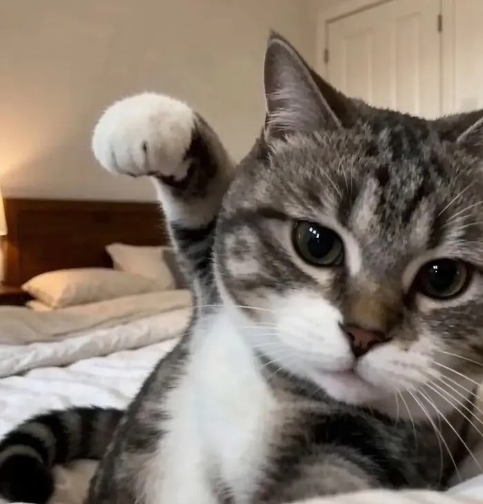 83 Photos Of Silly, Funny And Weird Animals That Might Lift Your Mood