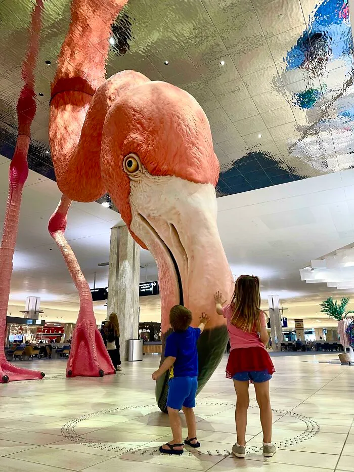 El nuevo flamenco del Aeropuerto Internacional de Tampa