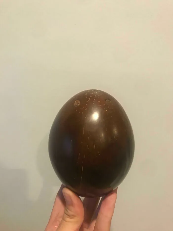 Real photos of a hand holding a smooth, dark brown, egg-shaped object, making you question if it was edited.