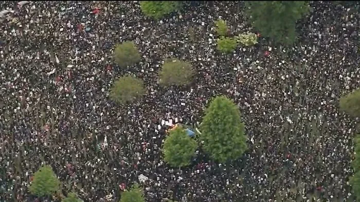 I Initially Thought These Were Small Bushes In A Gravel Flower Bed. Nope. Boston Protest 2020