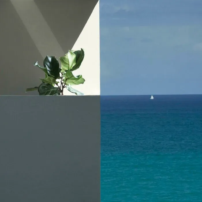 El balcón de nuestros vecinos, y su ficus perfectamente alineados con el horizonte
