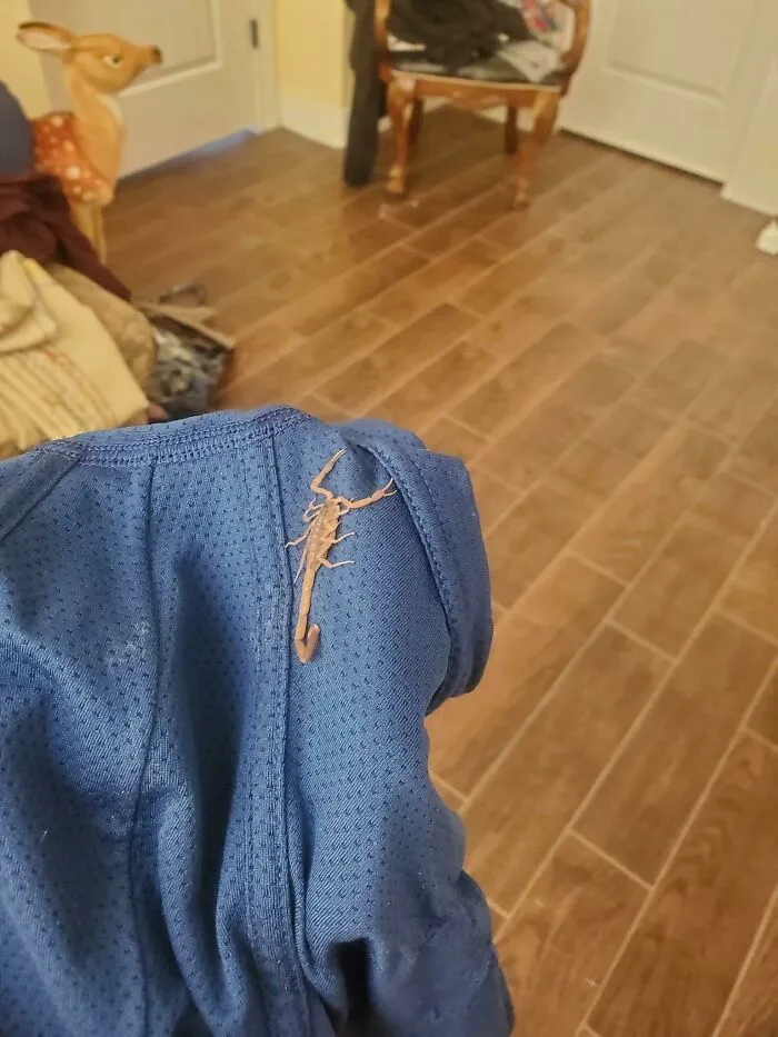 My Friend Forgot To Check His Underwear Before Putting It On