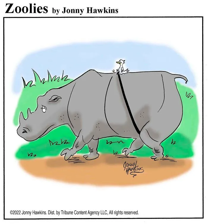 Rhino Rider
