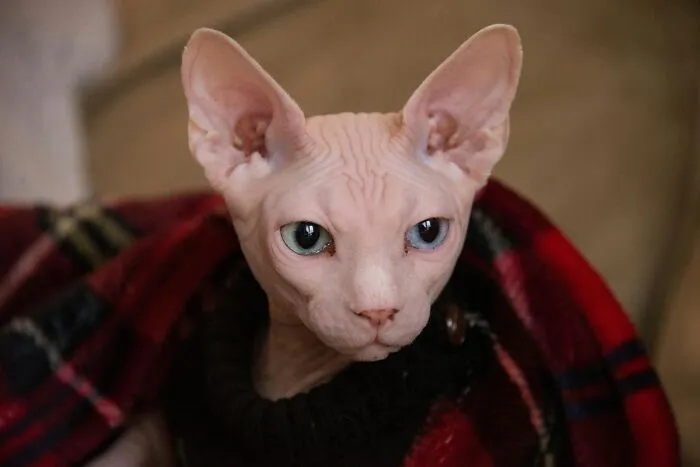 53 Pet Names That Had Everyone Saying, "Why Didn't I Think Of That?"