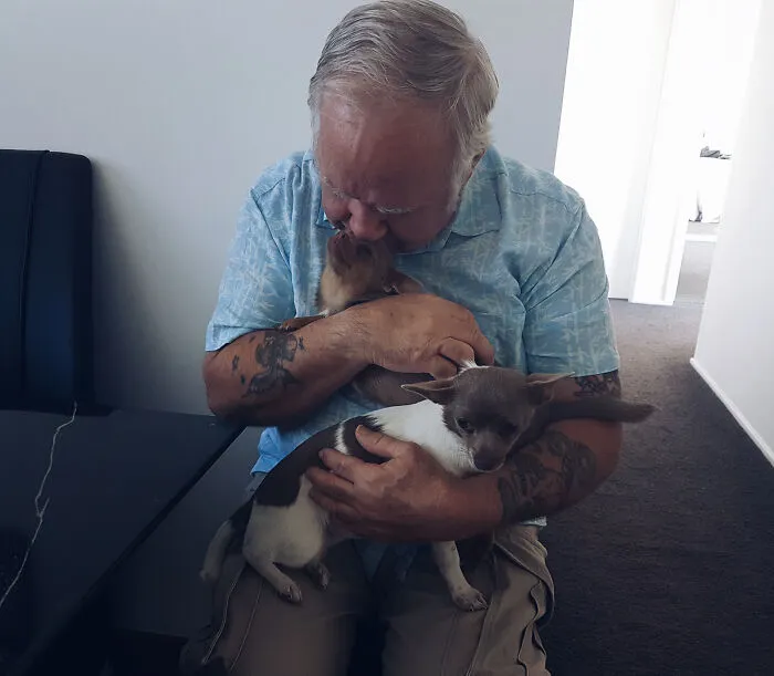 El perro de mi abuelo falleció el año pasado. Hoy le dimos una sorpresa con estas preciosidades.