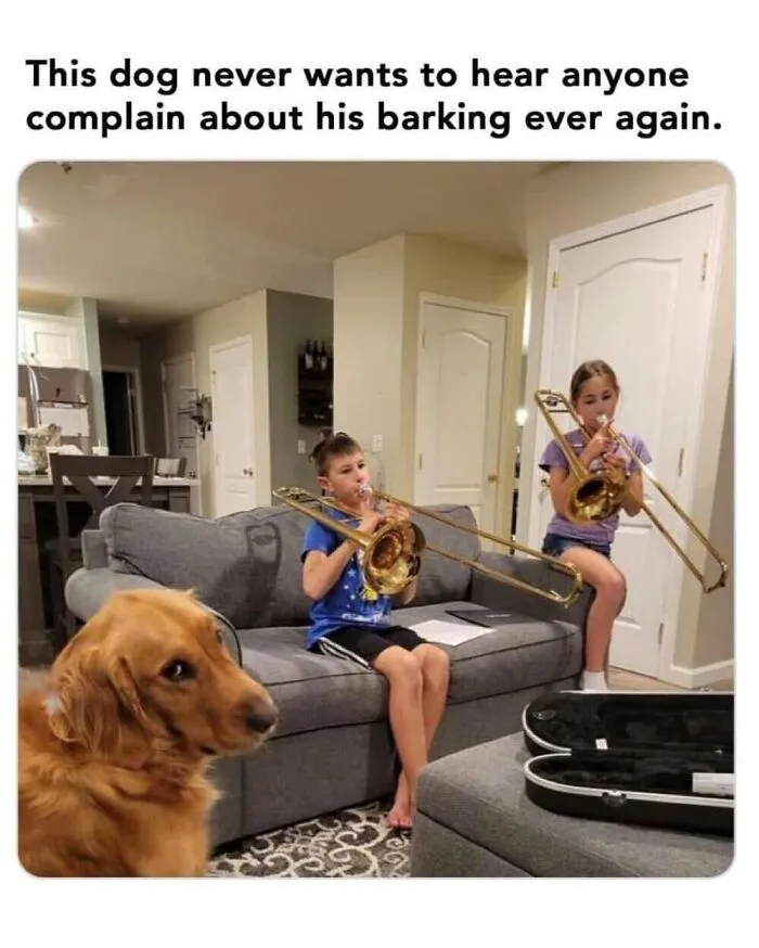 50 Memes From ‘Animal Comedy’ That Perfectly Capture The Funny Side Of Our Furry Friends