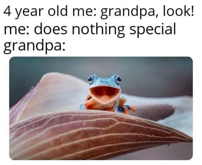 50 Memes From ‘Animal Comedy’ That Perfectly Capture The Funny Side Of Our Furry Friends