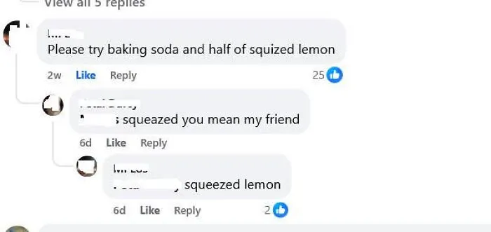 A social media exchange where a know-it-all corrects someone's spelling of 'squeezed' in a comment.