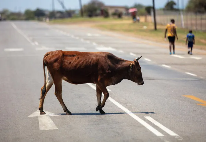 People Reveal 34 Everyday Things That Are Totally Normal In Their Country But Weird Elsewhere