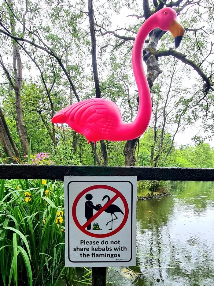 33 Divertidos carteles públicos que parecen oficiales hasta que los miras bien