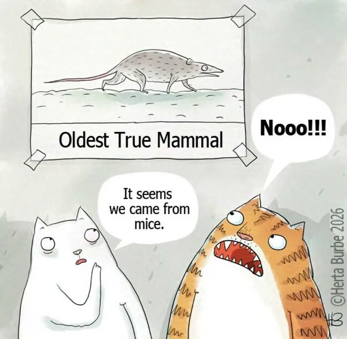 50 Funny And Relatable Comics By Herta Burbė That Might Brighten Up Your Day (New Pics)