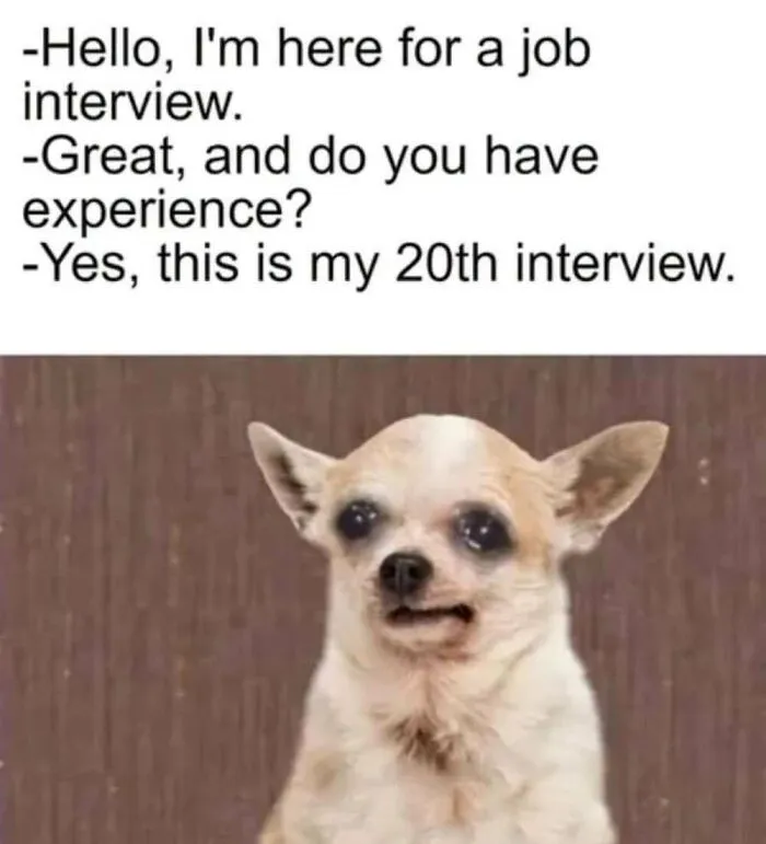 50 Memes From ‘Animal Comedy’ That Perfectly Capture The Funny Side Of Our Furry Friends