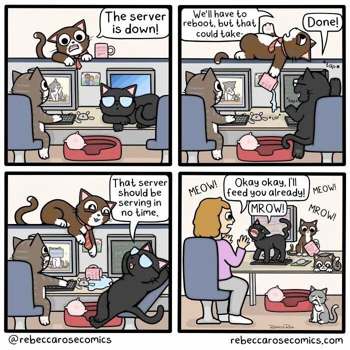 Cartoonist Rebecca Rose Nails The Funny Side Of Adulting, Pets, And Romance In 30 New Comics