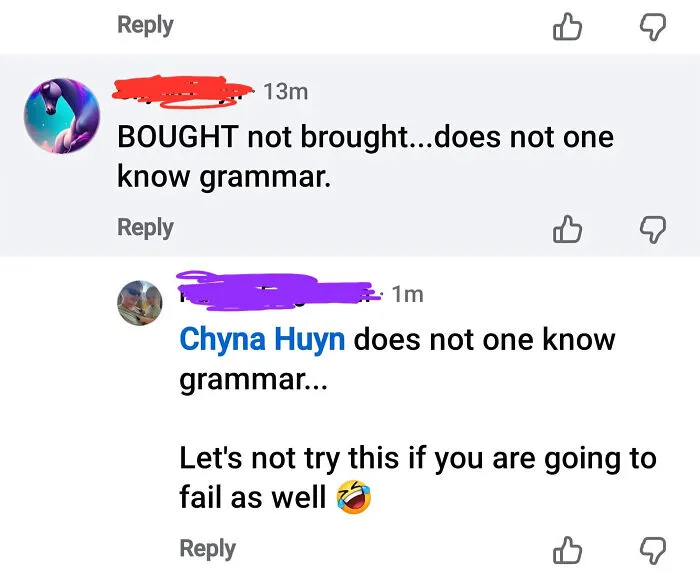 A social media comment where a know-it-all tries to correct someone's grammar but fails as well.