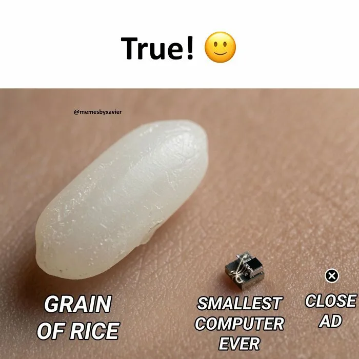 Hilarious-Relatable-Xavier-Memes