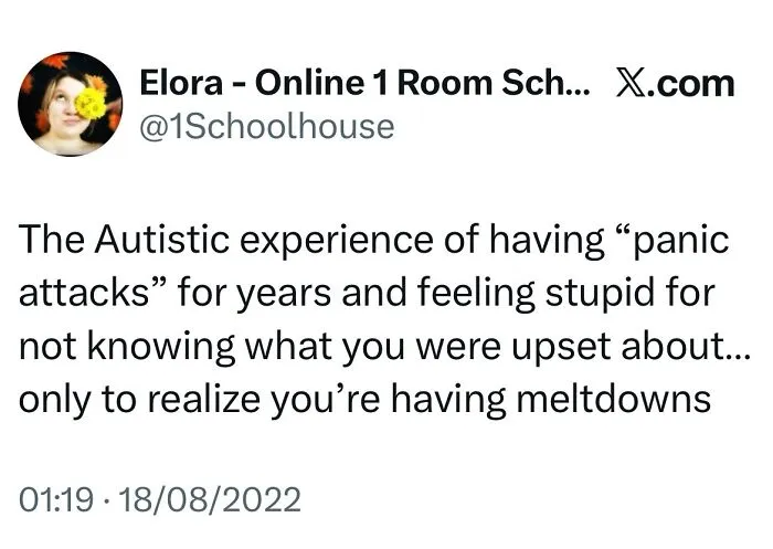 A tweet describing the autistic experience of meltdowns mistaken for panic attacks, shared for autistic people.