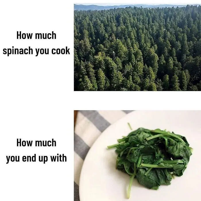 Don’t Choke On Your Salad While You Scroll These 47 Hilarious Vegan Memes