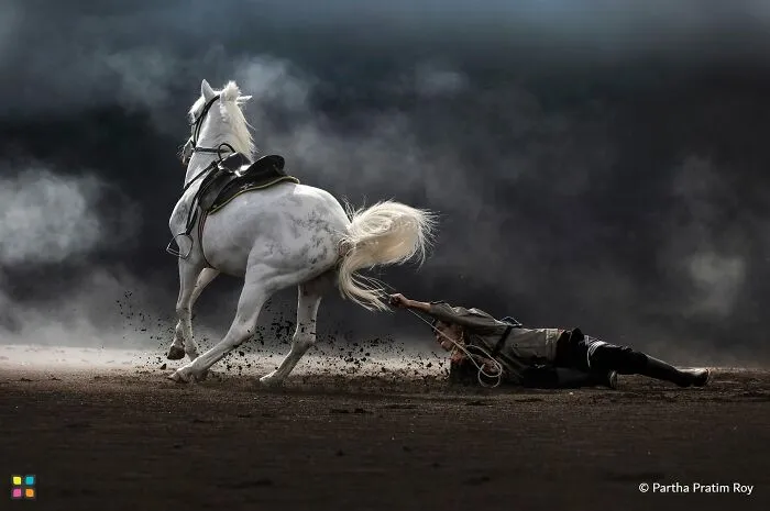 Award-worthy photo of a person being dragged by a white horse, showing a dramatic story without words.