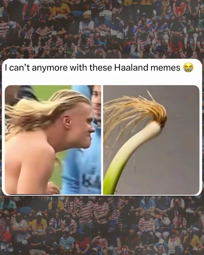 Win Or Lose, Haaland Memes For Win