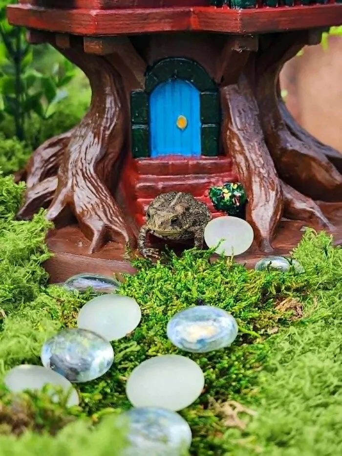 A charming, miniature tree house with a blue door, created with a 3D printer, nestled in moss with a toad.