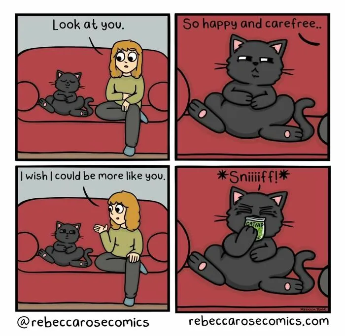 Cartoonist Rebecca Rose Nails The Funny Side Of Adulting, Pets, And Romance In 30 New Comics