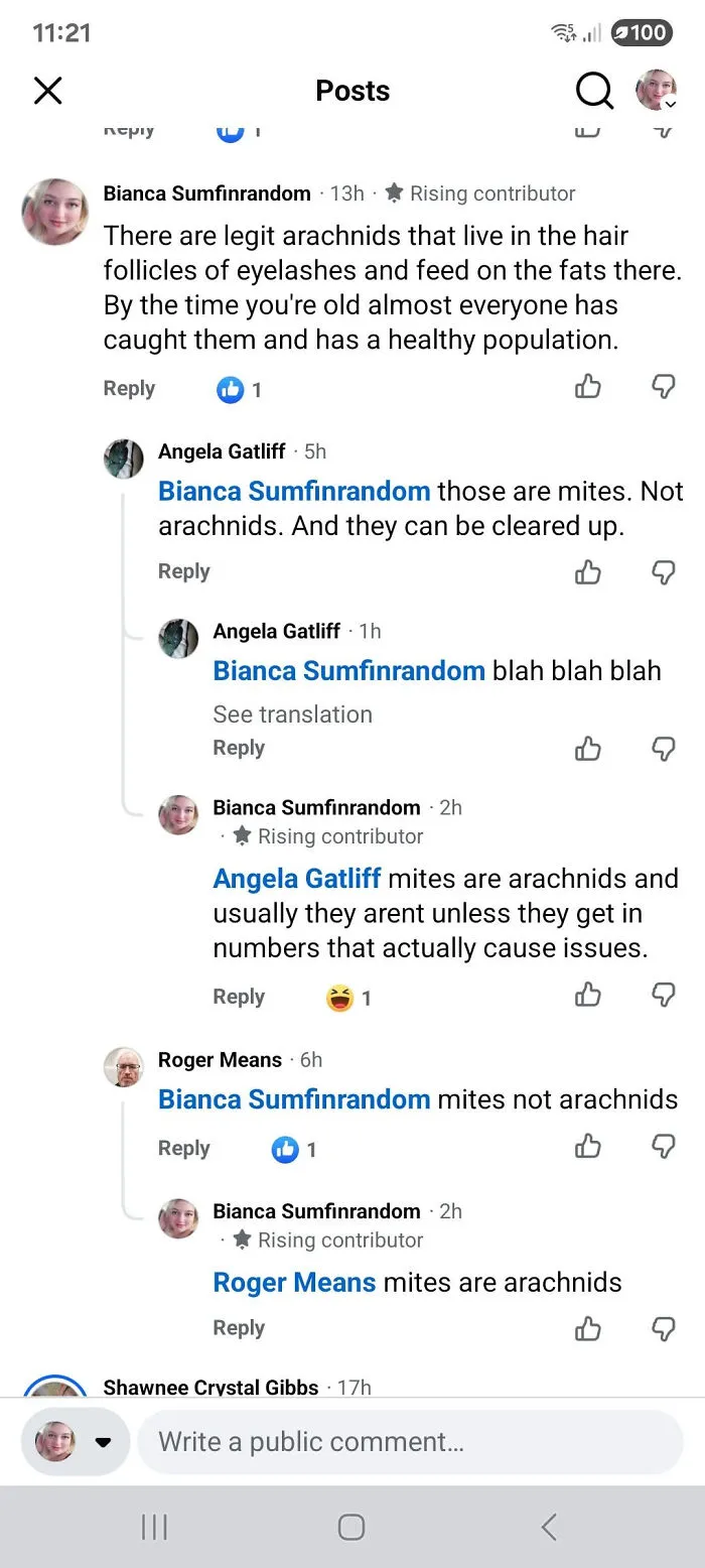A social media screenshot shows multiple know-it-alls correcting each other on whether mites are arachnids.