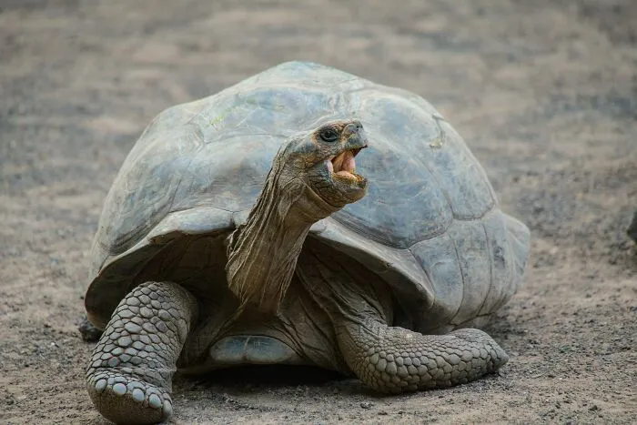 65 Random Fun Facts That Might Make Your Day