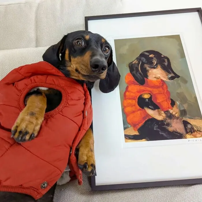 40 Hilarious And Heartwarming Dog Photos That Stole The Internet’s Heart