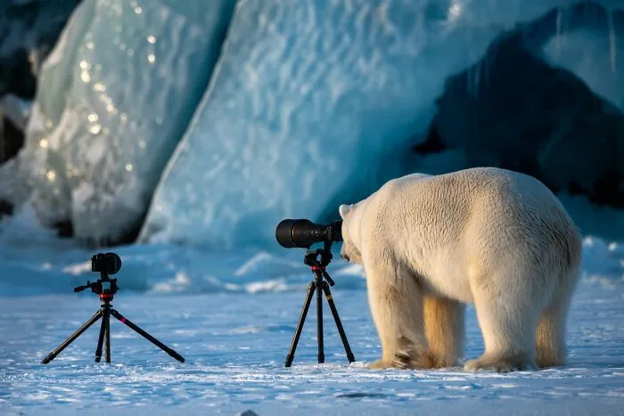 Fotografoso de fauna, By Roie Galitz