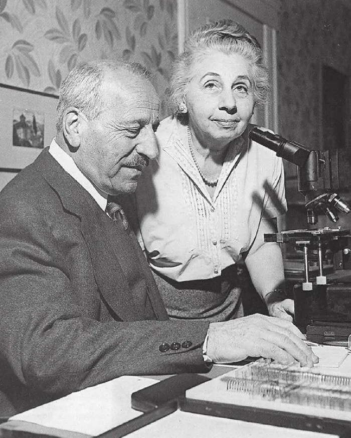 People Are Sharing ‘Today I Learned’ Facts That Expanded Their Minds (75 New Facts)