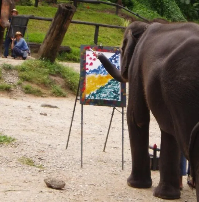 People Are Sharing ‘Today I Learned’ Facts That Expanded Their Minds (75 New Facts)
