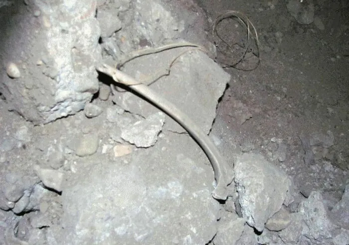 21 Of The Creepiest Mysteries From The Internet That Were Never Solved