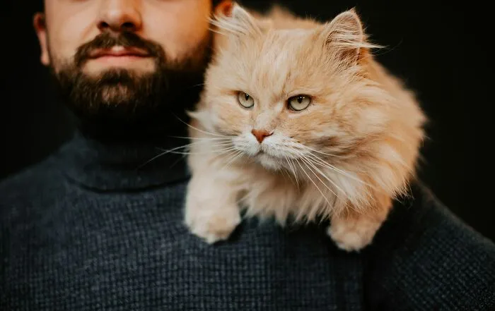 53 Pet Names That Had Everyone Saying, "Why Didn't I Think Of That?"