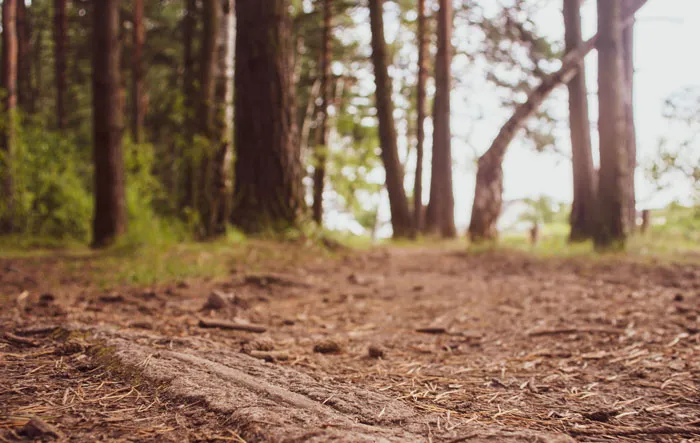 55 Missing Person Cases That Took Absolutely Bizarre Turns