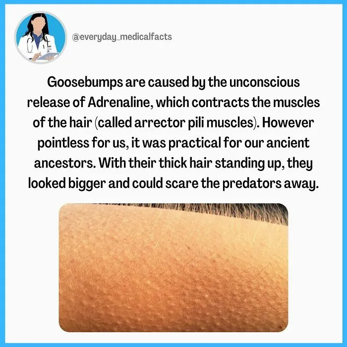 71 Health Facts That Are As Surprising As They Are Educational